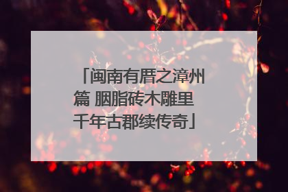闽南有厝之漳州篇 胭脂砖木雕里千年古郡续传奇