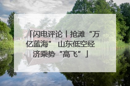闪电评论丨抢滩“万亿蓝海” 山东低空经济乘势“高飞”