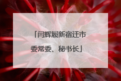 闫辉履新宿迁市委常委、秘书长