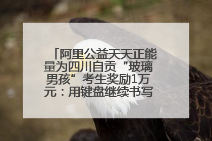 阿里公益天天正能量为四川自贡“玻璃男孩”考生奖励1万元：用键盘继续书写不设限的人生
