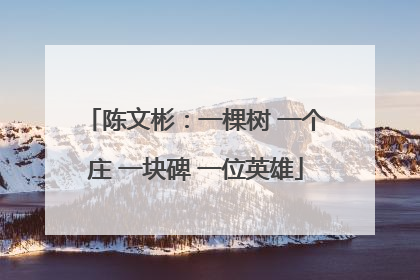 陈文彬：一棵树 一个庄 一块碑 一位英雄
