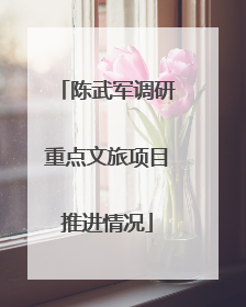 陈武军调研重点文旅项目推进情况
