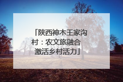 陕西神木王家沟村：农文旅融合 激活乡村活力