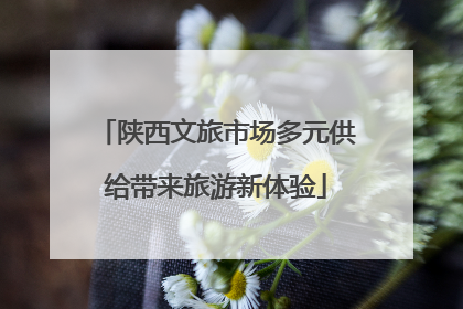 陕西文旅市场多元供给带来旅游新体验