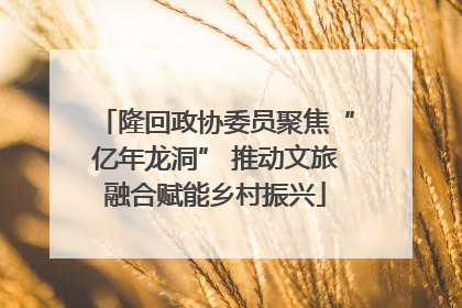 隆回政协委员聚焦“亿年龙洞” 推动文旅融合赋能乡村振兴