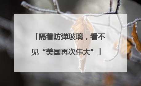 隔着防弹玻璃，看不见“美国再次伟大”