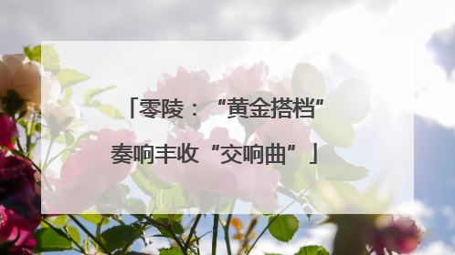 零陵：“黄金搭档”奏响丰收“交响曲”