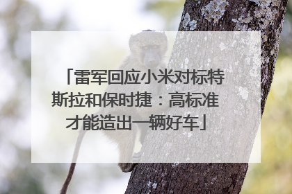 雷军回应小米对标特斯拉和保时捷：高标准才能造出一辆好车