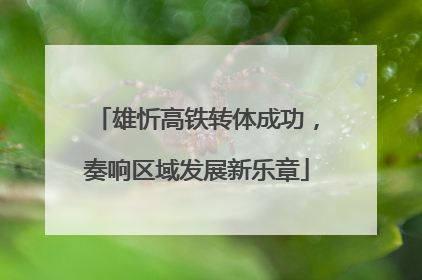 雄忻高铁转体成功，奏响区域发展新乐章
