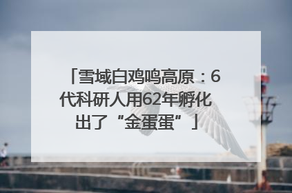 雪域白鸡鸣高原：6代科研人用62年孵化出了“金蛋蛋”