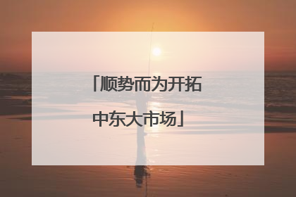 顺势而为开拓中东大市场