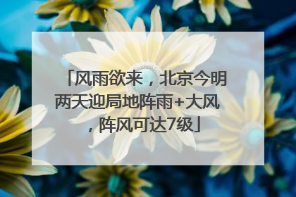 风雨欲来，北京今明两天迎局地阵雨+大风，阵风可达7级