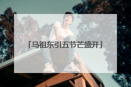 马祖东引五节芒盛开