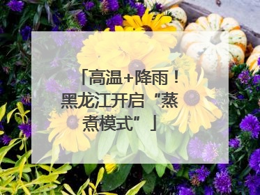 高温+降雨！黑龙江开启“蒸煮模式”