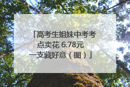 高考生姐妹中考考点卖花 6.78元一支藏好意（图）