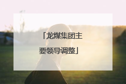 龙煤集团主要领导调整