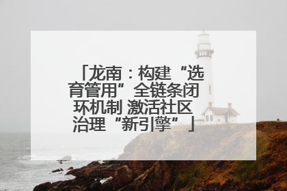 龙南：构建“选育管用”全链条闭环机制 激活社区治理“新引擎”