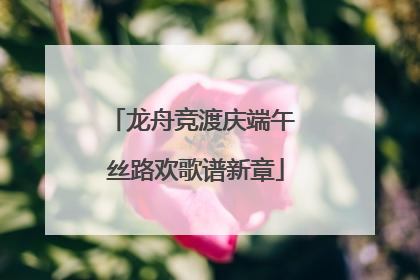 龙舟竞渡庆端午 丝路欢歌谱新章