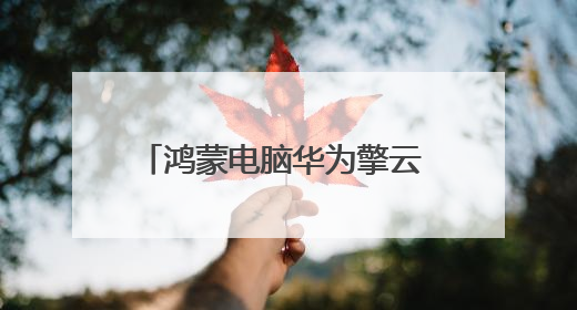 鸿蒙电脑华为擎云 HM940成为2025天津夏季达沃斯中方办公支持电脑