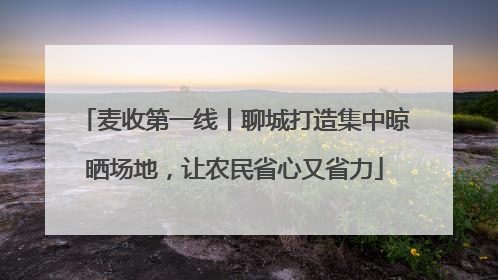 麦收第一线丨聊城打造集中晾晒场地，让农民省心又省力