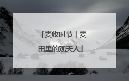麦收时节丨麦田里的观天人