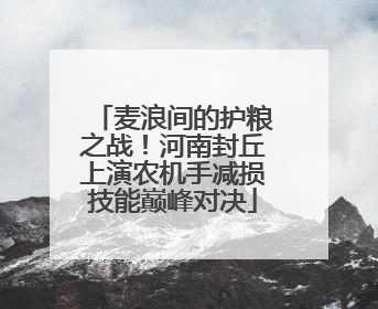麦浪间的护粮之战！河南封丘上演农机手减损技能巅峰对决