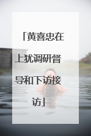 黄喜忠在上犹调研督导和下访接访