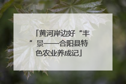黄河岸边好“丰”景——合阳县特色农业养成记