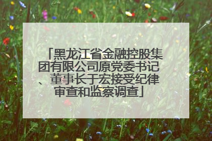 黑龙江省金融控股集团有限公司原党委书记、董事长于宏接受纪律审查和监察调查