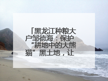 黑龙江种粮大户邹德海：保护“耕地中的大熊猫”黑土地，让增产可持续
