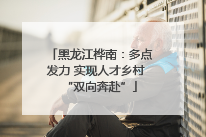 黑龙江桦南：多点发力 实现人才乡村“双向奔赴”