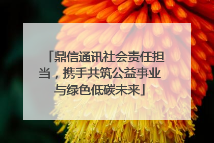 鼎信通讯社会责任担当，携手共筑公益事业与绿色低碳未来