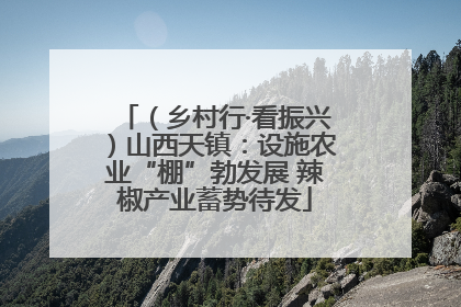 （乡村行·看振兴）山西天镇：设施农业“棚”勃发展 辣椒产业蓄势待发