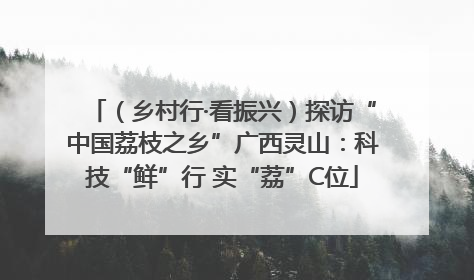 （乡村行·看振兴）探访“中国荔枝之乡”广西灵山：科技“鲜”行 实“荔”C位