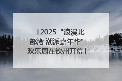 2025“浪漫北部湾 潮派嘉年华”欢乐周在钦州开幕
