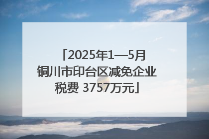 2025年1—5月铜川市印台区减免企业税费 3757万元