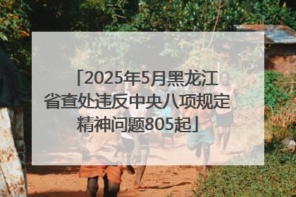 2025年5月黑龙江省查处违反中央八项规定精神问题805起