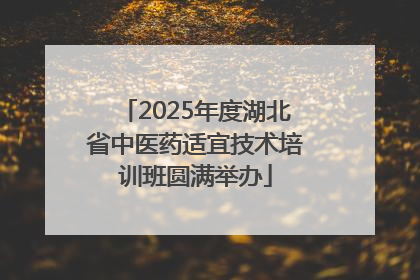 2025年度湖北省中医药适宜技术培训班圆满举办