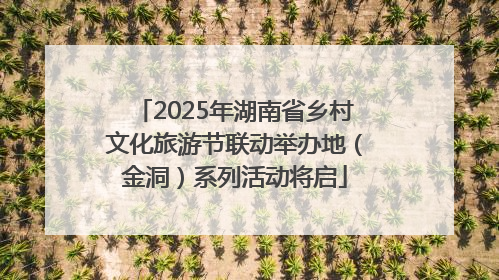 2025年湖南省乡村文化旅游节联动举办地（金洞）系列活动将启