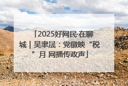 2025好网民·在聊城｜吴聿晟：党徽映“税”月 网播传政声