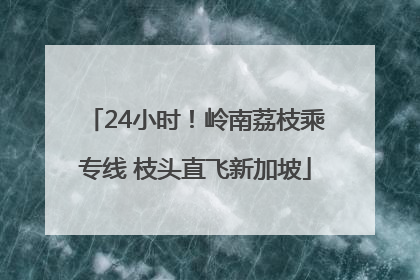 24小时！岭南荔枝乘专线 枝头直飞新加坡