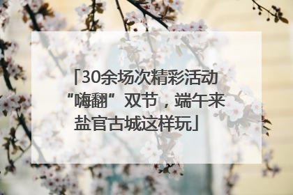 30余场次精彩活动“嗨翻”双节，端午来盐官古城这样玩