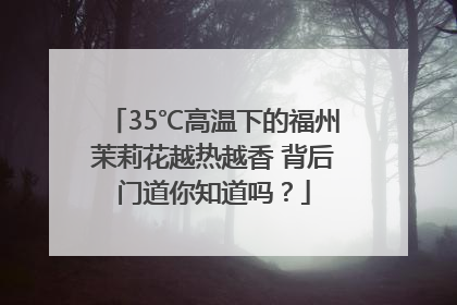 35℃高温下的福州茉莉花越热越香 背后门道你知道吗？