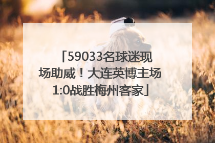 59033名球迷现场助威！大连英博主场1:0战胜梅州客家