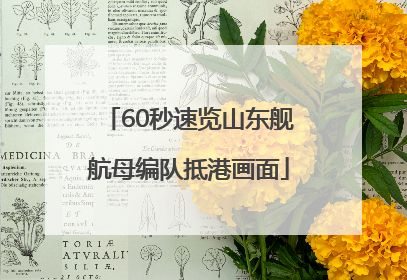 60秒速览山东舰航母编队抵港画面
