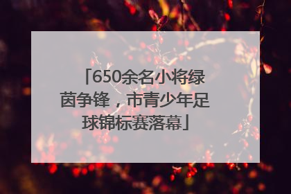 650余名小将绿茵争锋，市青少年足球锦标赛落幕