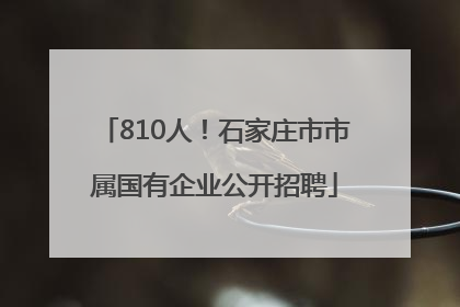 810人！石家庄市市属国有企业公开招聘