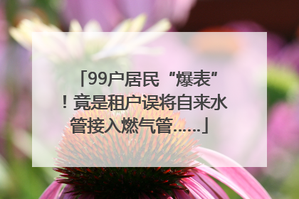 99户居民“爆表”！竟是租户误将自来水管接入燃气管……