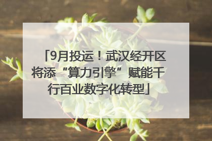 9月投运！武汉经开区将添“算力引擎”赋能千行百业数字化转型