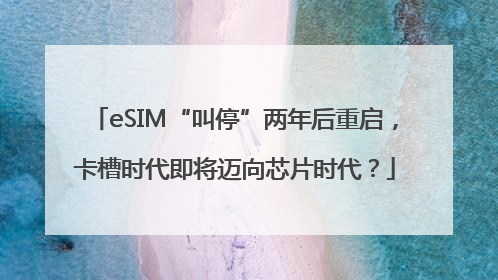 eSIM“叫停”两年后重启，卡槽时代即将迈向芯片时代？